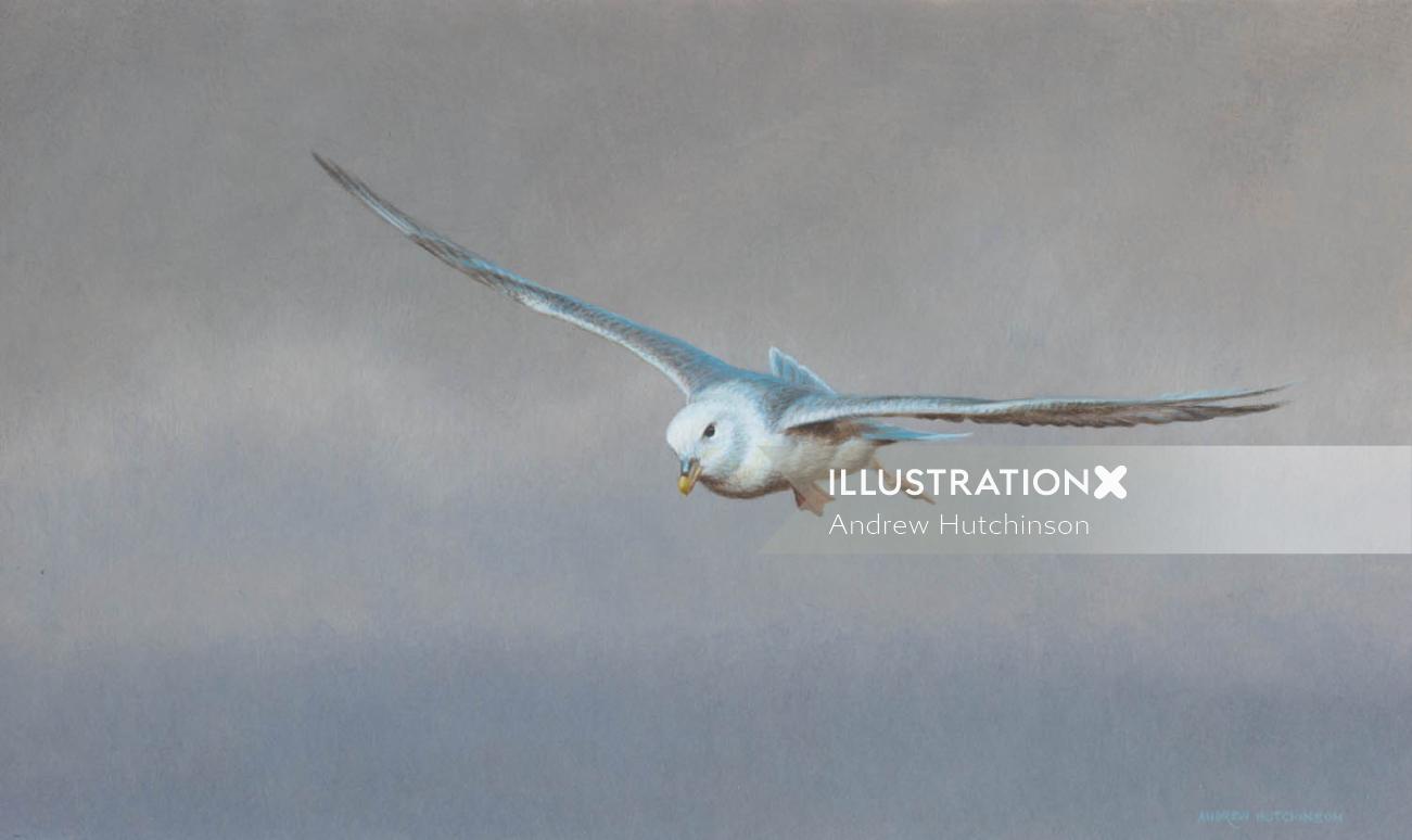 Isolated bird flying painting by Andrew Hutchinson