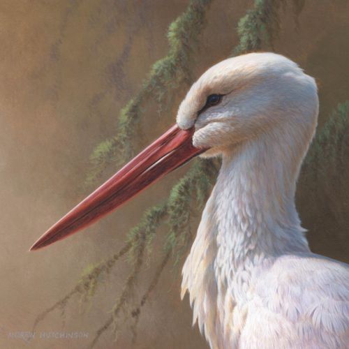 A stunning photorealistic depiction of a White Stork