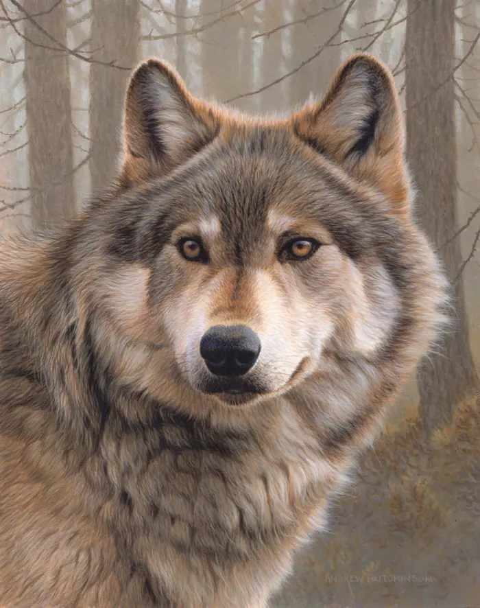 A stunning portrait illustration of Wolf