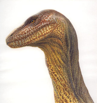 恐竜のイラスト、野生動物の画像©Andrew Hutchinson