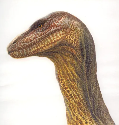 Dinosaur Illustration, Wildlife Images © Andrew Hutchinson