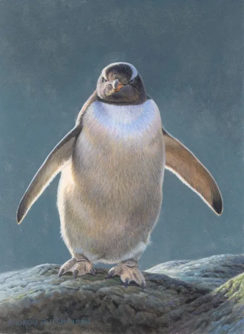 Gentoo Penguin drawn in photorealism