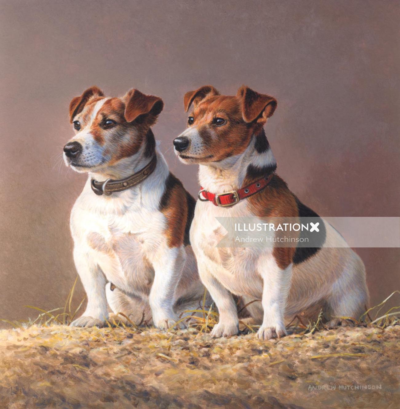 Illustration of jack russell dogs © Andrew Hutchinson