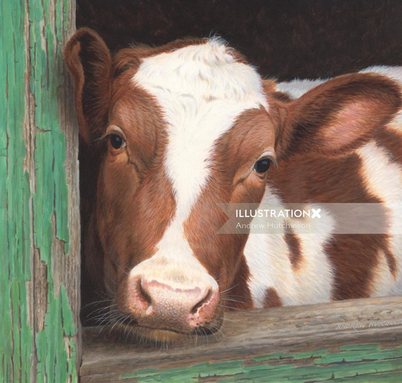Illustration in portrait of farm cow 