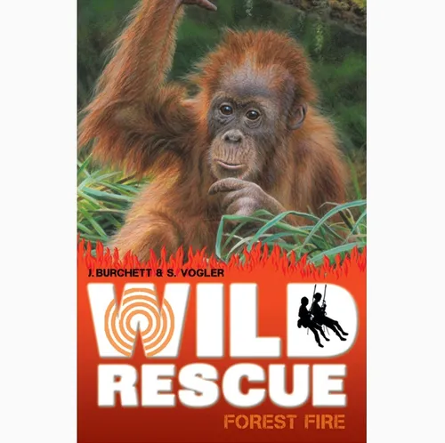 Orang Utan Cub Illustration, Wildlife Images © Andrew Hutchinson