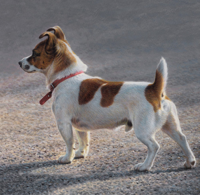 Jack Russell Terrier | Ilustração de cachorro