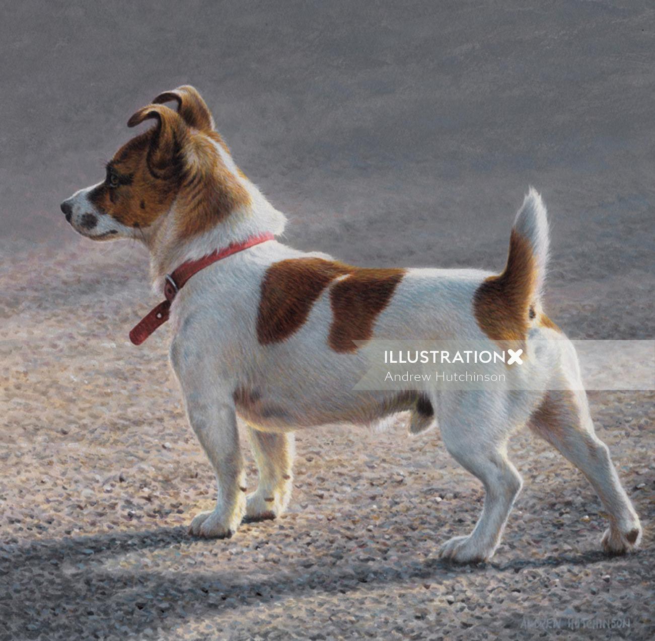 Jack Russell Terrier | Illustration de chien