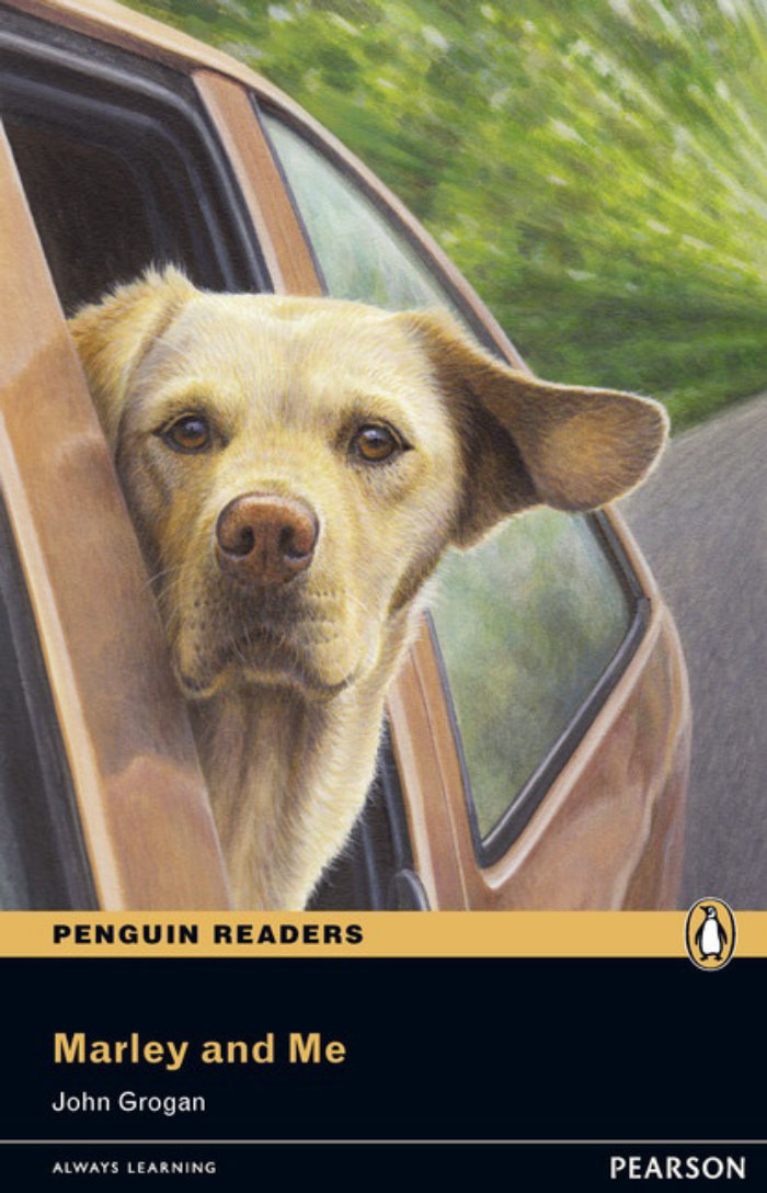 Illustration d&#39;un chien depuis la fenêtre d&#39;une voiture © Andrew Hutchinson