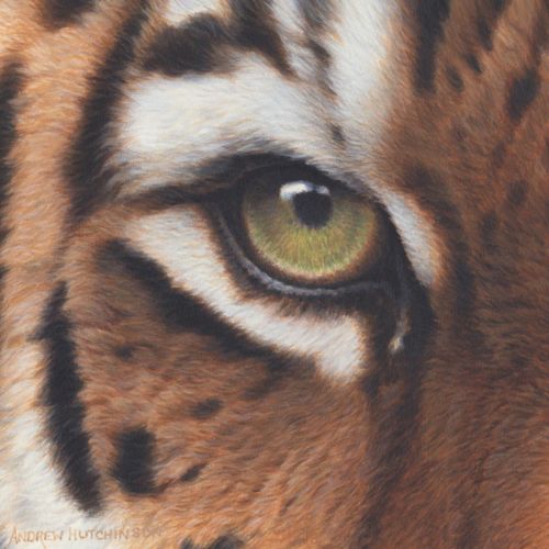 Fantastic art depicting a tiger's eye