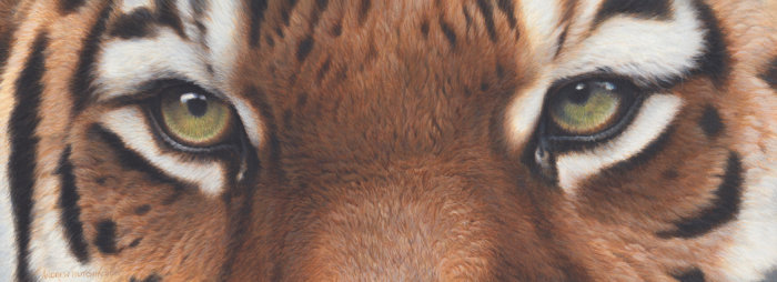 Arte fantástica retratando um olho de tigre