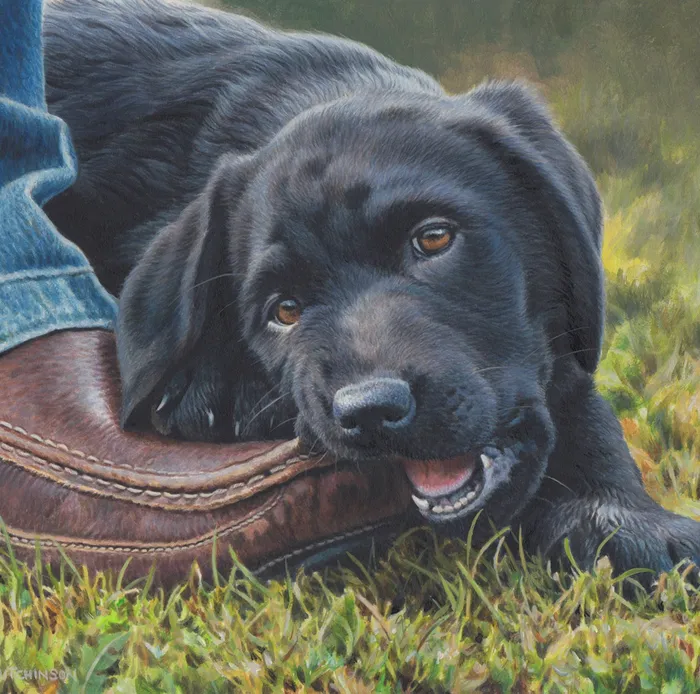 Pup of a Black Labrador painted in acrylic