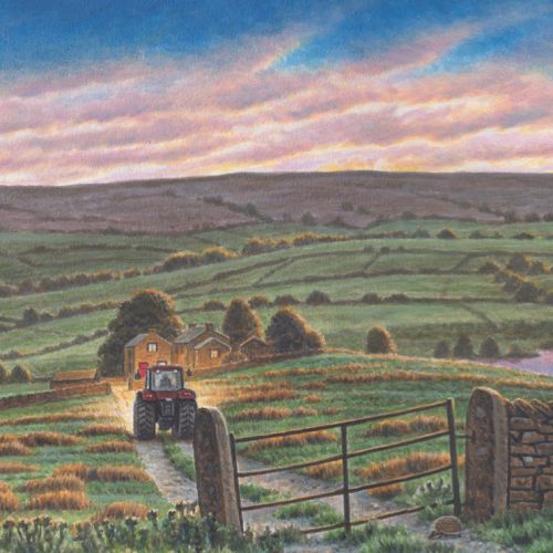 Nature illustration of Yorkshire tea farms
