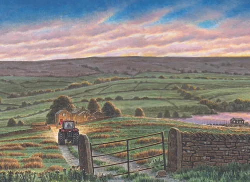 Nature illustration of Yorkshire tea farms