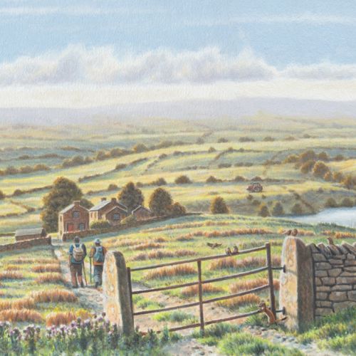 Landscape of Yorkshire tea farms