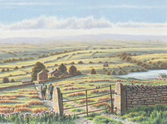 Landscape of Yorkshire tea farms