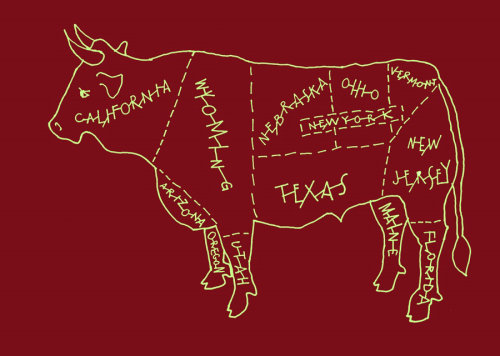 US Bull illustration by Andrew Selby