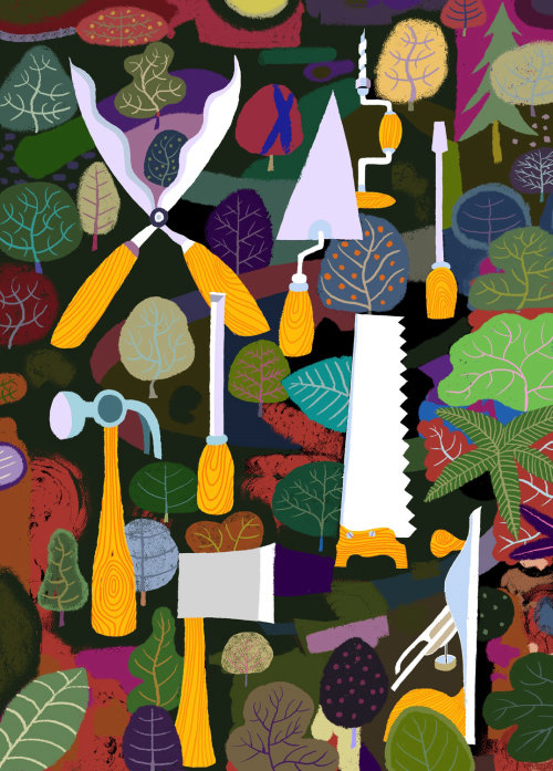Tools in the forest
