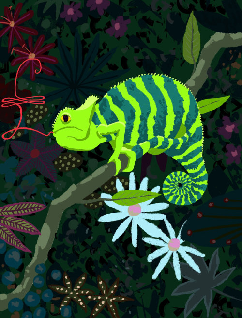 Animation of chameleon
