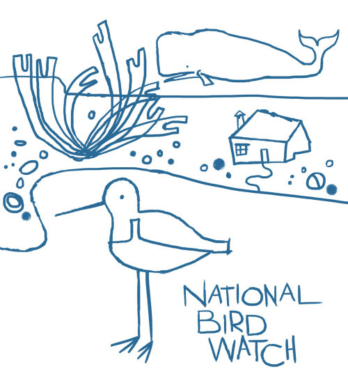 Illustration for national bird watch concept by Andrew Selby