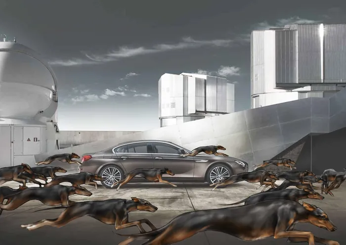 Silver luxury car surrounded by running dogs on rooftop by Andriy Vynogradov