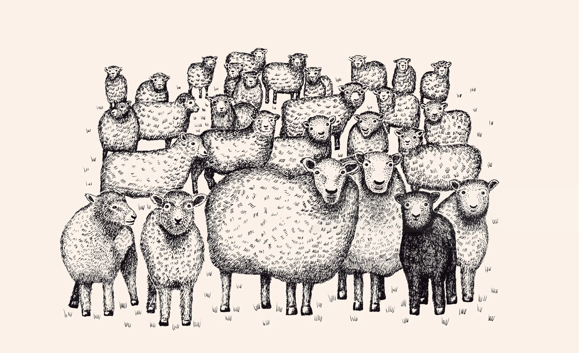 Angela Salerno illustration of a large flock of sheep