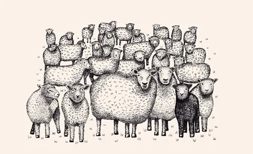 Illustration d'Angela Salerno représentant un grand troupeau de moutons