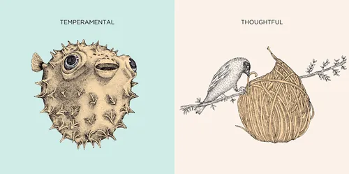 Les illustrations de Mi Naturaleza par Angela Salerno montrent un poisson épineux et un oiseau avec un nid