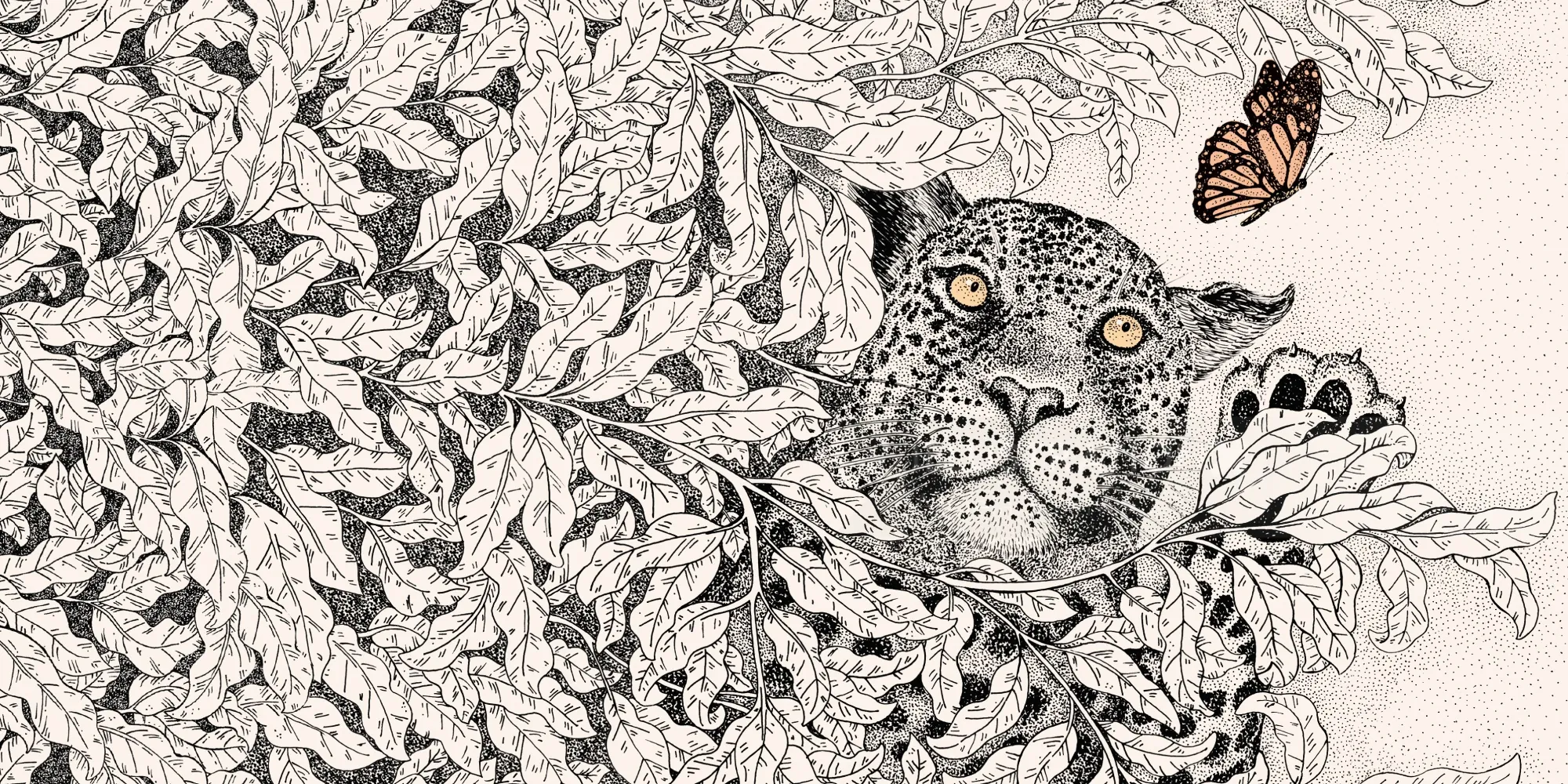 安吉拉·萨勒诺的插图：一只豹子藏身于树叶间，一只蝴蝶翩翩起舞。