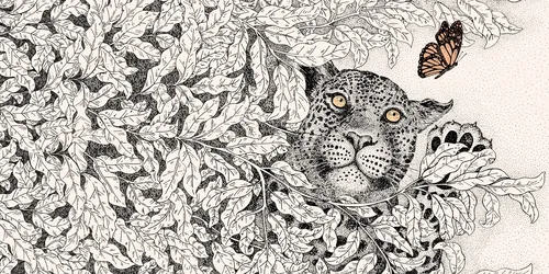 Illustration d'Angela Salerno représentant un léopard dissimulé parmi des feuilles avec un papillon