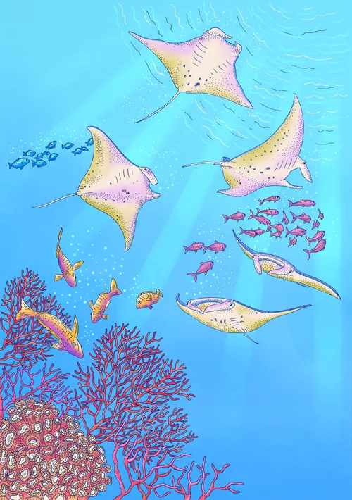 Illustration d'Angela Salerno représentant des raies, des poissons et des coraux sous l'eau