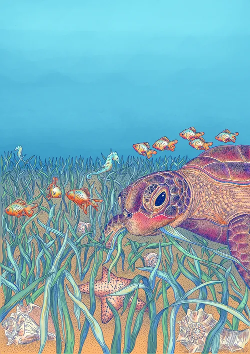 Illustration d'Angela Salerno représentant une tortue marine nageant dans des herbiers avec des poissons colorés