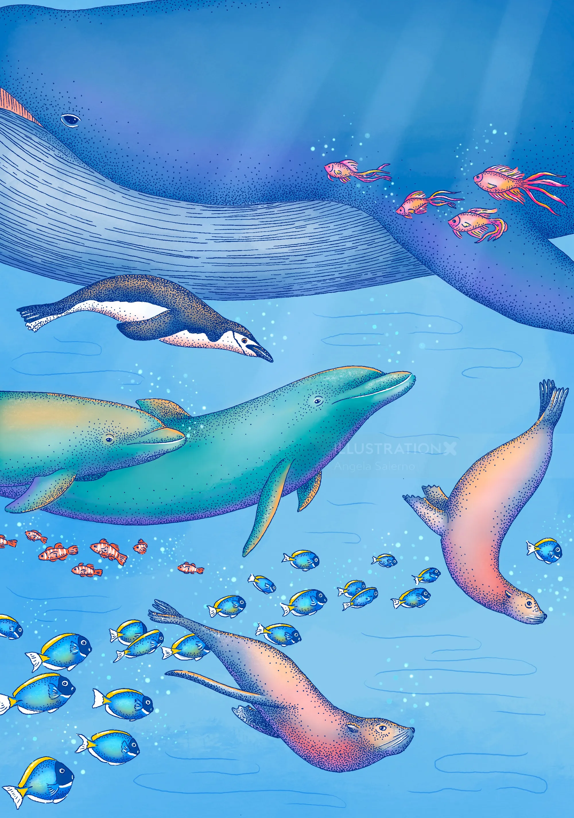 Ocean animals swimming underwater in an illustration by Angela Salerno