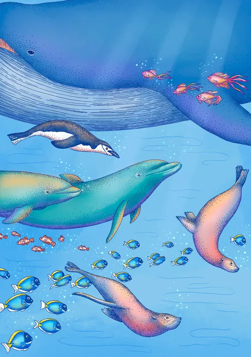 Animaux marins nageant sous l'eau, illustration d'Angela Salerno