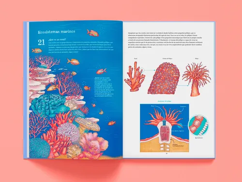 La double page illustrée du livre Oceanica d'Angela Salerno présente une vie marine colorée