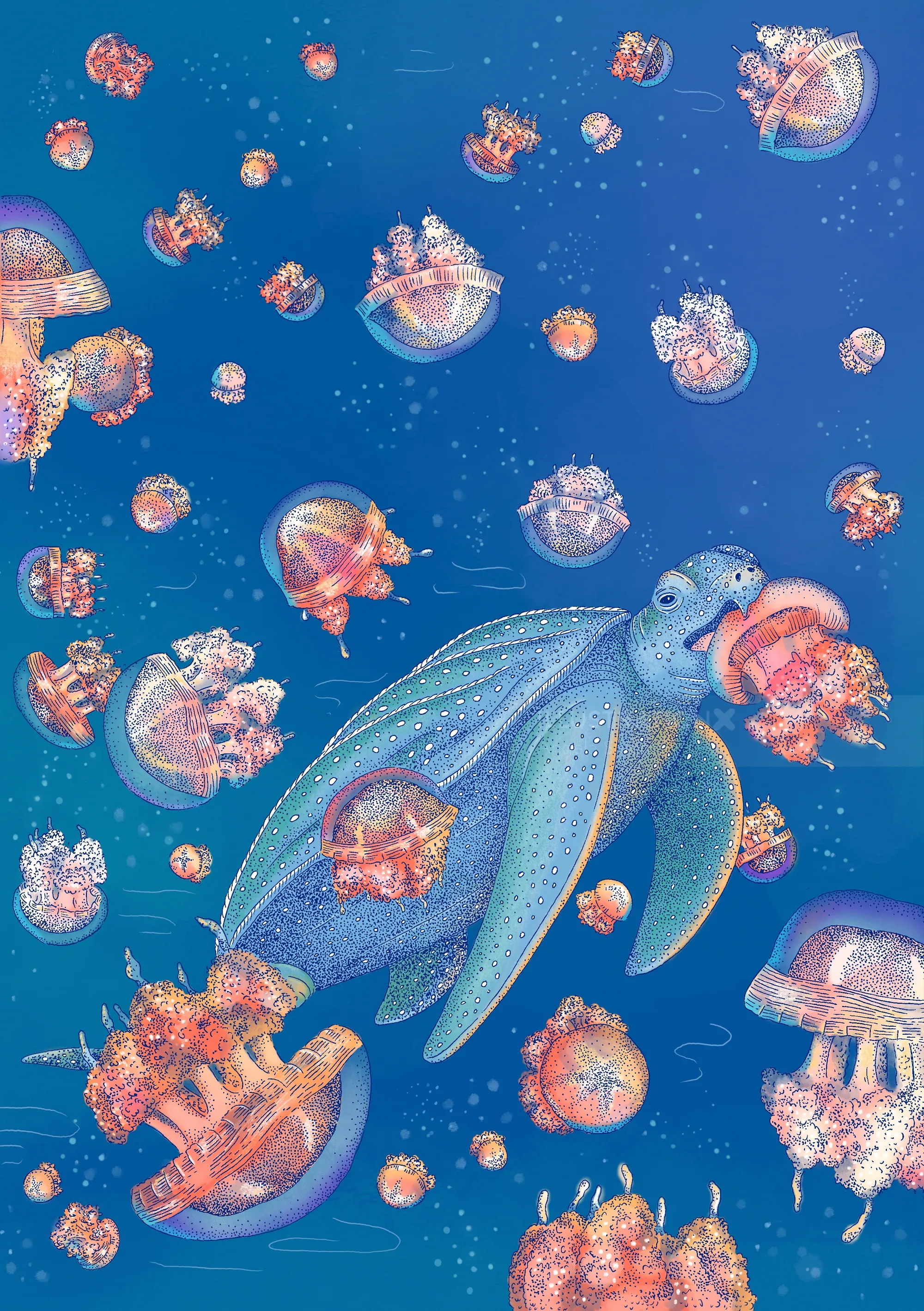 Angela Salerno illustration of a sea turtle surrounded by colorful jellyfish