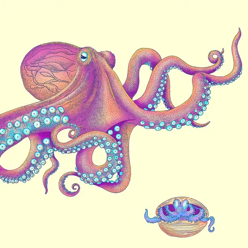 Illustration colorée d'une pieuvre par Angela Salerno avec une petite méduse