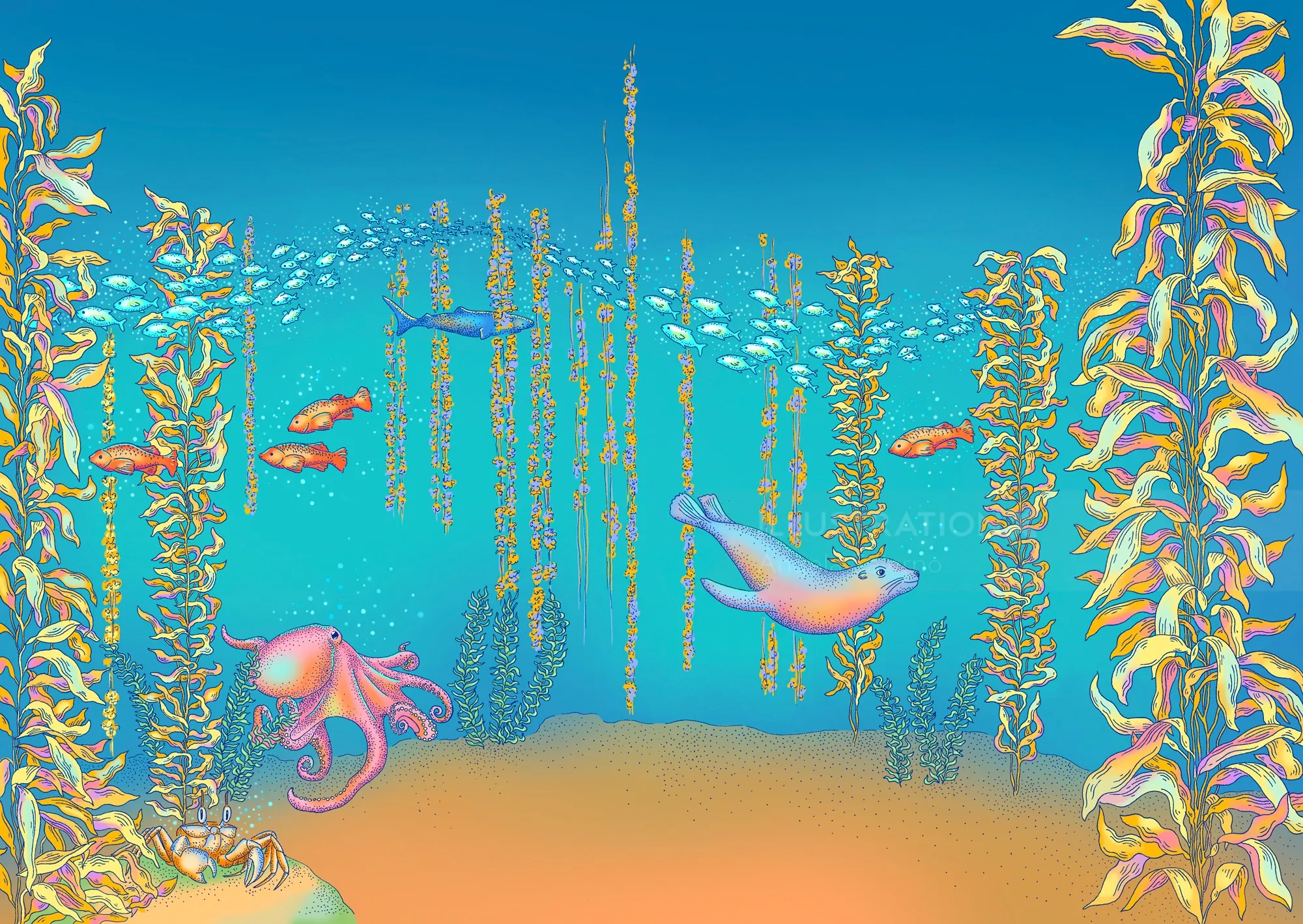 Underwater kelp forest with fish and octopus, illustrated by Angela Salerno.