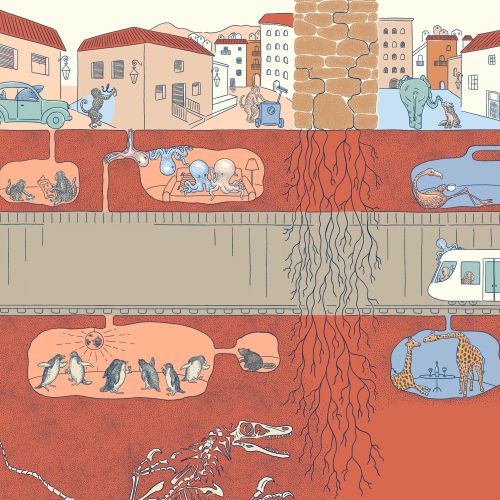 Angela Salerno illustration of a city cross-section with underground animals