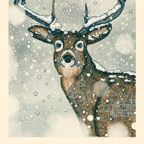 Illustrated deer beneath the word WILD by Angela Salerno