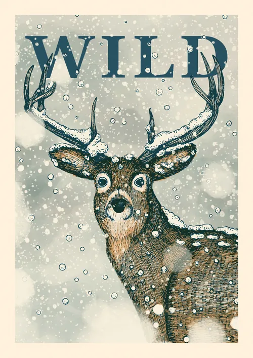 Illustrated deer beneath the word WILD by Angela Salerno