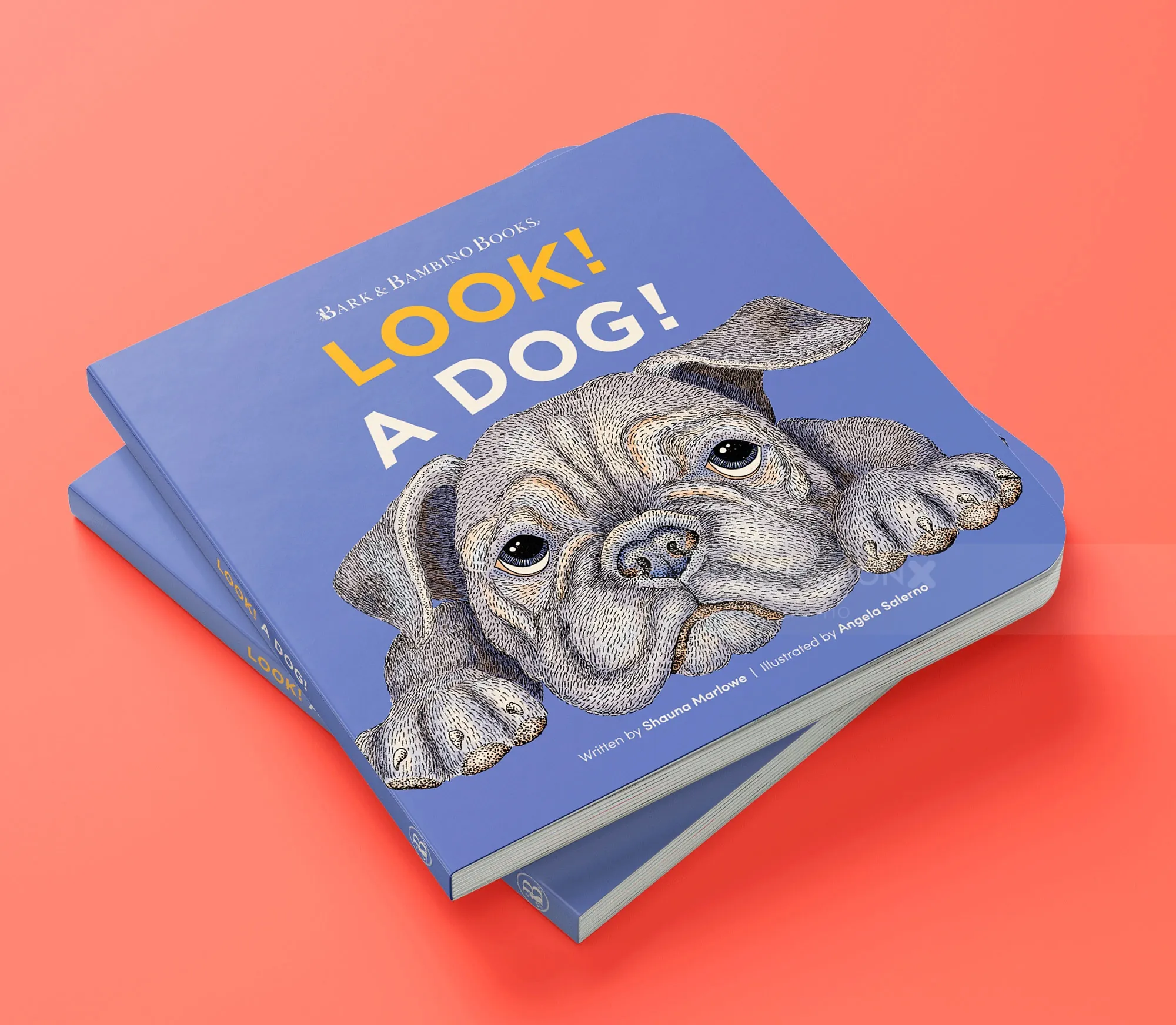 Angela Salerno's illustration of a pug on the cover of Look! A Dog!