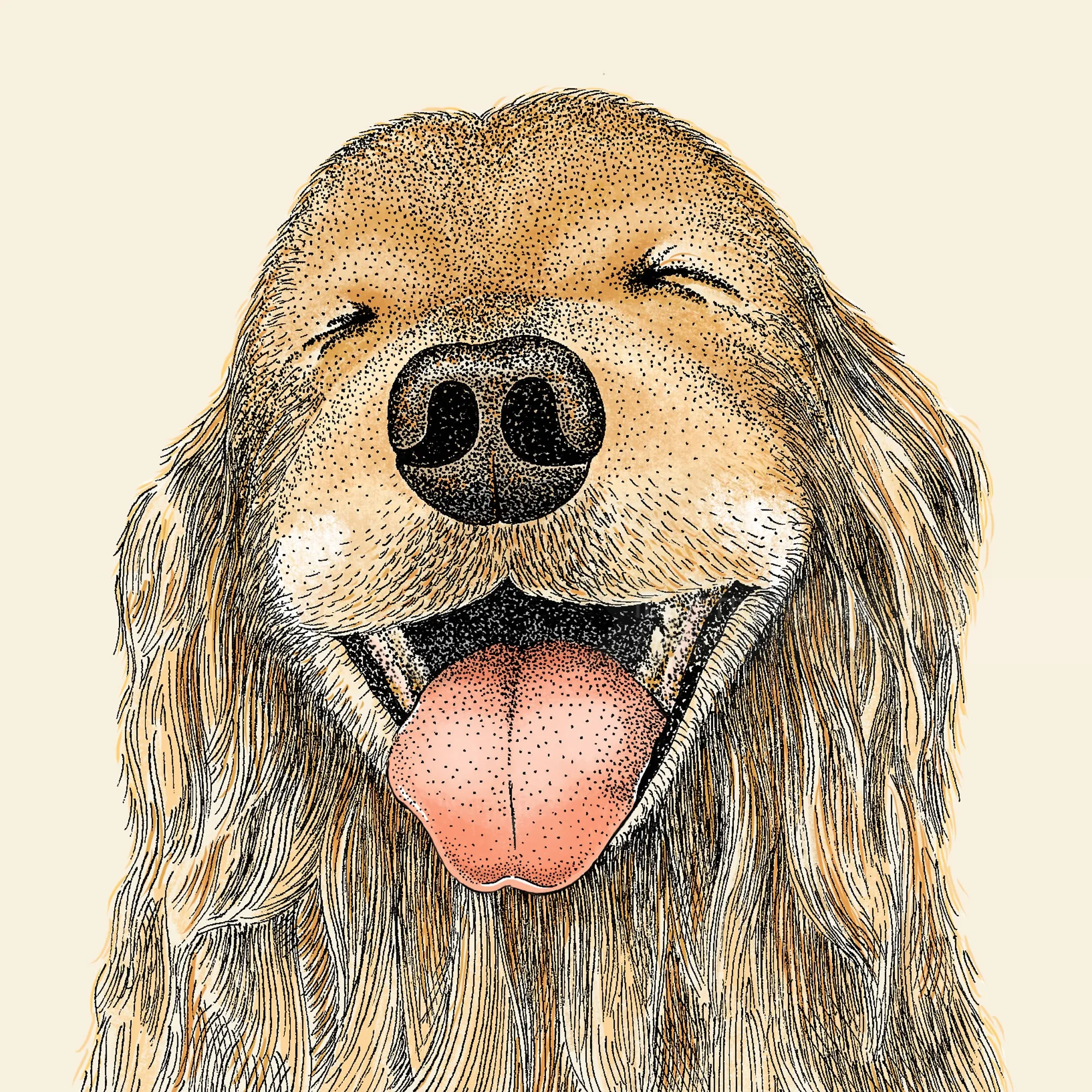Angela Salerno illustration of a smiling shaggy dog with its tongue out