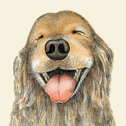 Illustration d'Angela Salerno représentant un chien hirsute souriant, la langue tirée.