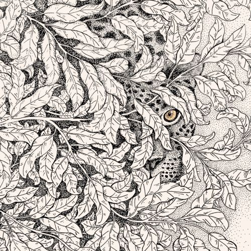 Detailed foliage illustration with a hidden owl by Angela Salerno