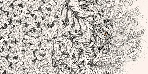 Illustration détaillée du feuillage avec une chouette cachée par Angela Salerno