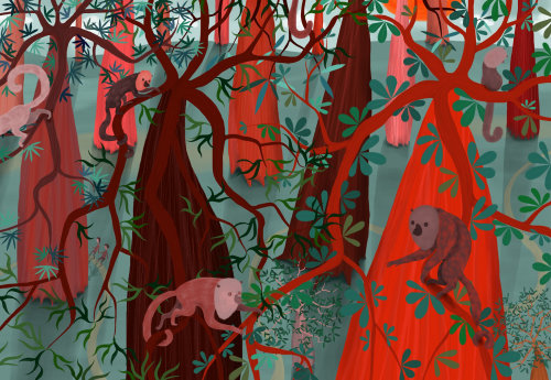 猴子爬在森林冠层的一棵树上