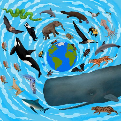 animals, elephant, tiger, bear, whale, killer whale, shark, bat, snake, crocodile, moth, cat, deer
