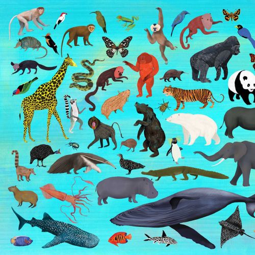 Global animal species shown in a collage style
