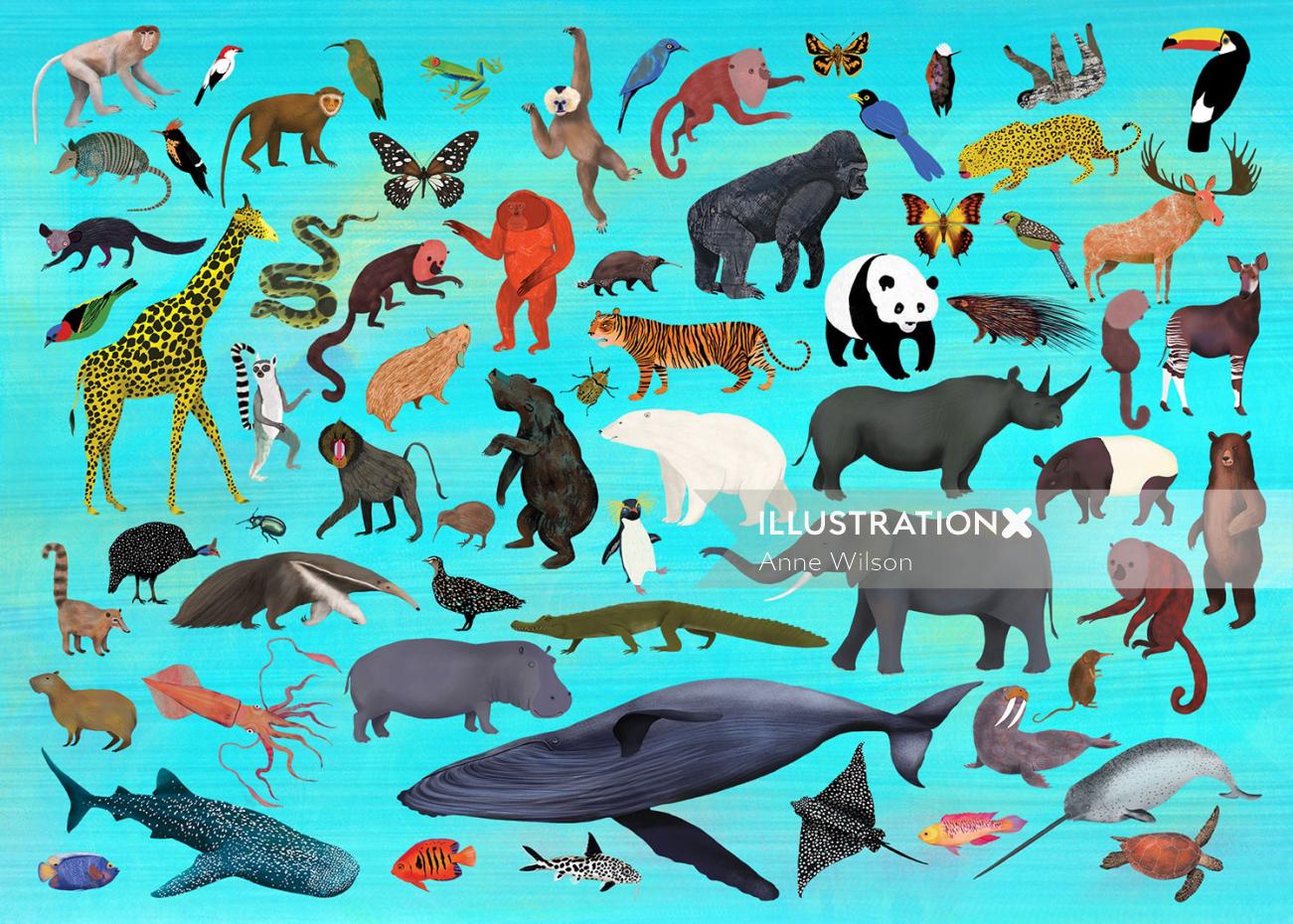 動物、野生動物、スパイ、野生動物