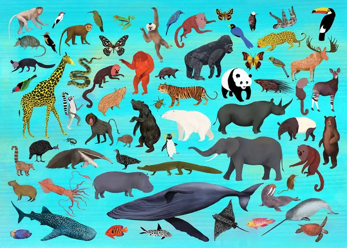 Global animal species shown in a collage style